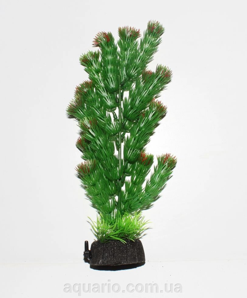 Растение Atman S30-006C, 30см від компанії Інтернет магазин акваріумістики "AquariO" - фото 1