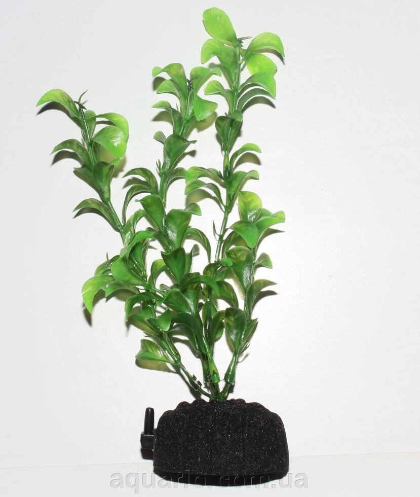 Растение Atman S8-038C, 20см від компанії Інтернет магазин акваріумістики "AquariO" - фото 1
