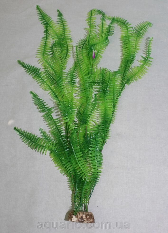 Растение №508, 50см від компанії Інтернет магазин акваріумістики "AquariO" - фото 1