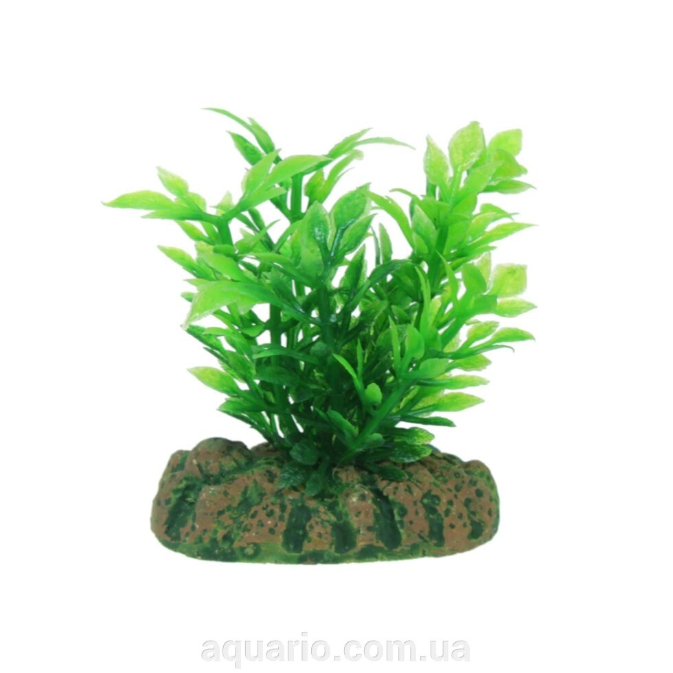 Рослина Aqua Nova NP-4 0461, 4 см від компанії Інтернет магазин акваріумістики "AquariO" - фото 1