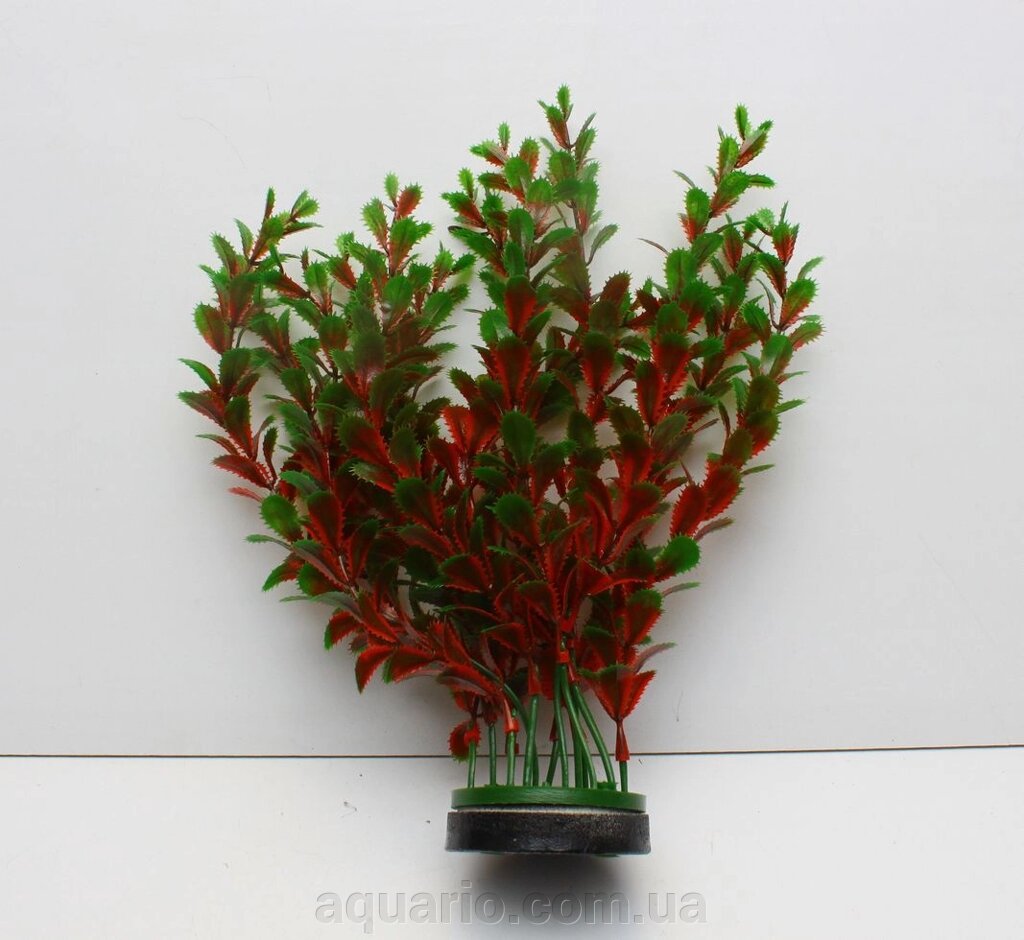 Рослина Atman M12-012A, 30см від компанії Інтернет магазин акваріумістики "AquariO" - фото 1