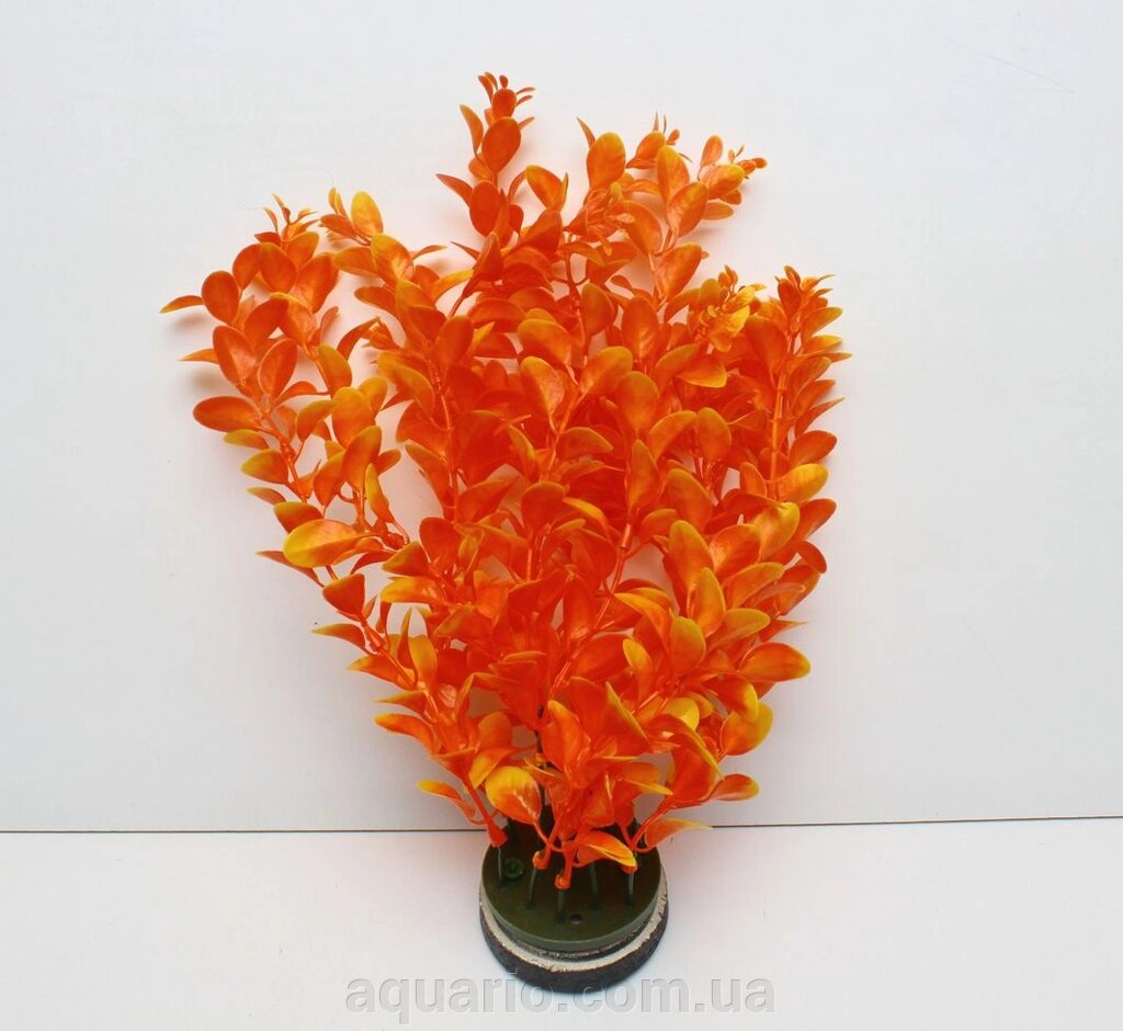 Рослина Atman M12-022D, 30см від компанії Інтернет магазин акваріумістики "AquariO" - фото 1