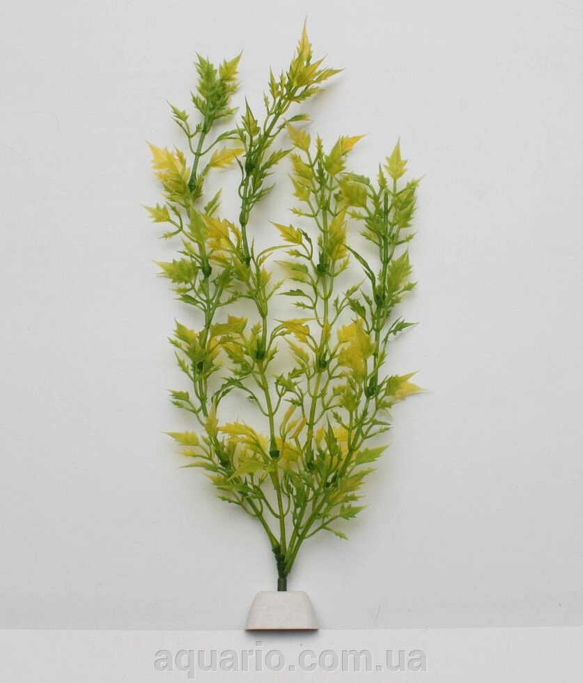 Рослина cw-2814, 25 см від компанії Інтернет магазин акваріумістики "AquariO" - фото 1