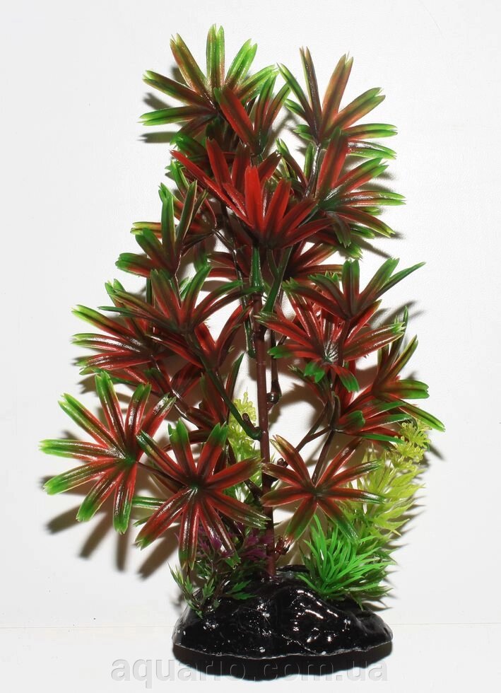 Рослина HP8-091A, 20см від компанії Інтернет магазин акваріумістики "AquariO" - фото 1