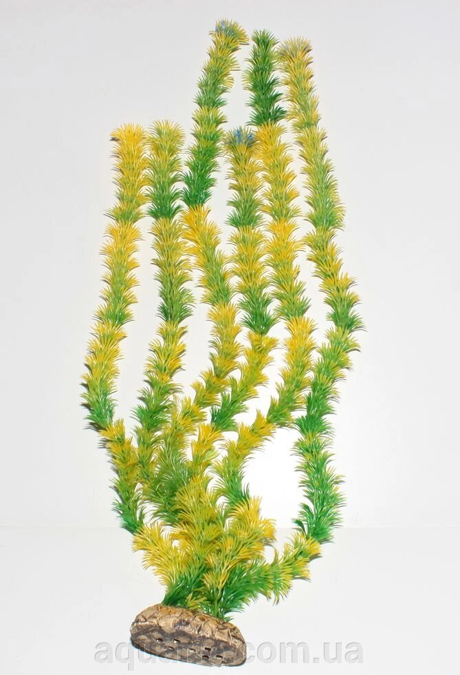 Рослина №5011, 50см від компанії Інтернет магазин акваріумістики "AquariO" - фото 1