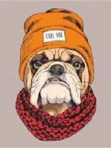 Полотно на картоні з контуром Pop Art Cool Dog 30х40 см Rosa Start