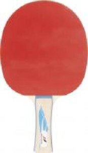 Ракетка для настільного тенісу Pro Touch PRO 4000 412086-900050
