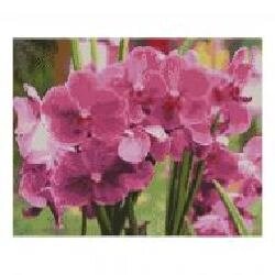 Картина стразами Яскраві орхідеї FA10634 Strateg
