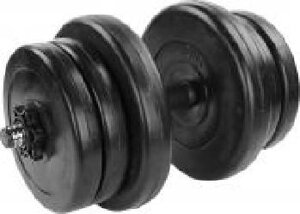 Гантель NEO-SPORT 20 кг чорний