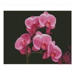 Картина стразами Рожеві орхідеї FA11877 Strateg