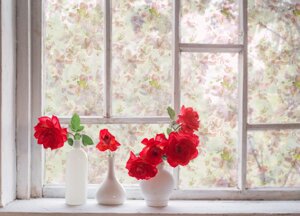 Матова плівка Троянди Zatarga на вікна та перегородки від сусідів, роздільник простору