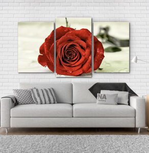 Модульна картина Poster-land Троянда Квіти Art-27_3