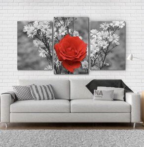 Модульна картина Poster-land Квіти Троянда Art-3_3