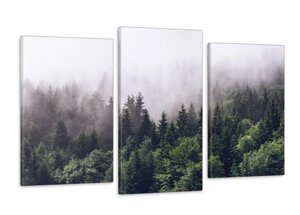 Модульна картина в спальню, вітальню Природа Туманний Ліс (53x100см) Арт-514_3