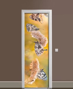 Наліпка на двері Zatarga «Метелики і Колоски » 650х2000 мм вінілова 3Д Наліпка декор самоклеюча