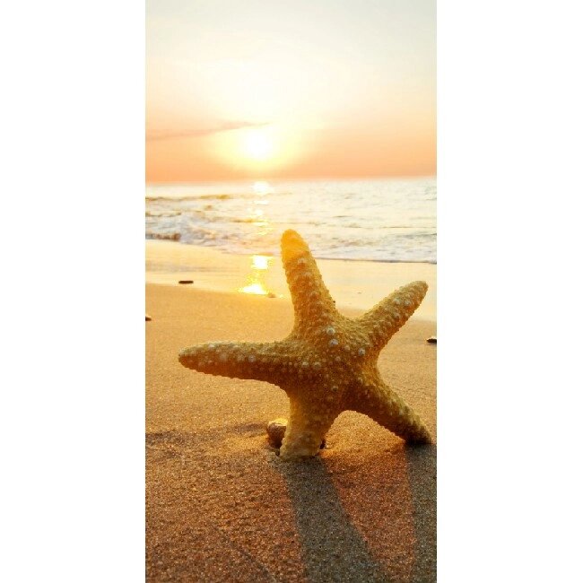 Настінний обігрівач-картина Shine "Морська зірка" 100 х 50 см 215 Вт від компанії інтернет-магазин "БИТПРОМТОРГ" - фото 1