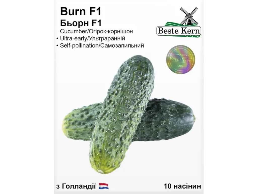 Огірок Бьорн F1 (10 насінин)/(5 пачок в упаковці) ТМ Beste Kern від компанії інтернет-магазин "БИТПРОМТОРГ" - фото 1