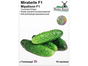 Огірок Мірабелл F1 (10 насінин)5 пачок в упаковці) ТМ Beste Kern