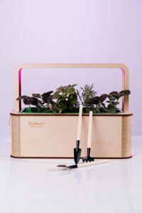 Розумний горщик для вирощування рослин Smart Garden Ecobloom 23х43х32 см Екокубик в Дніпропетровській області от компании интернет-магазин "БЫТПРОМТОРГ"