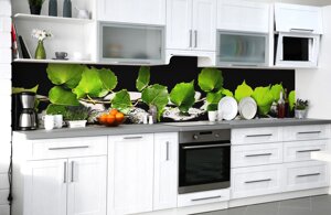 Скинали на кухню Zatarga "Зелене листя берези" 650х2500 мм вінілова 3Д Наліпка кухонний фартух