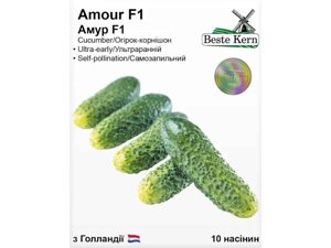 Огірок Амур F1 (10 насінин)/(5 пачок в упаковці) ТМ Beste Kern