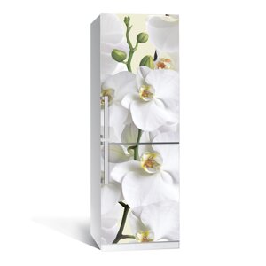 Наліпка на холодильник Zatarga Орхідея 650х2000 мм вінілова 3Д Наліпка декор на кухню самоклеюча