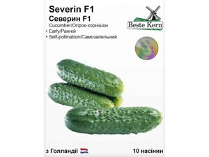 Огірок Северин F1 (10 насінин)/(5 пачок в упаковці) ТМ Beste Kern