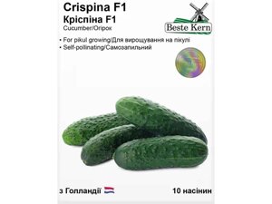 Огірок Кріспіна F1 (10 насінин)/(5 пачок в упаковці) ТМ Beste Kern