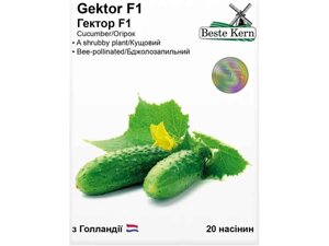 Огірок Гектор F1 (20 насінин)/(5 пачок в упаковці) ТМ Beste Kern