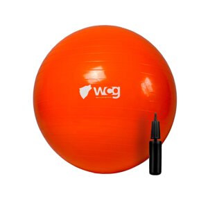 М'яч для фітнесу (фітбол) WCG 55 Anti-Burst 300кг Фіолетовий + насос