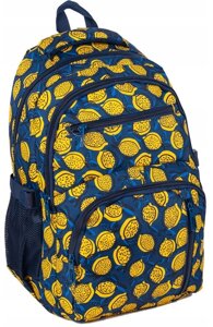 Рюкзак з ортопедичною спинкою Paso 24L Синій з лимонами