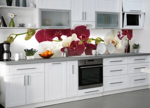 Наліпки кухонний фартух Zatarga "Орхідеї бордові і білі макро" 600х2000 мм різні кольори