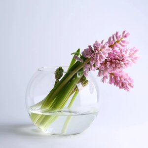 Ваза-акваріум Pasabahce Куля Botanica h-16 см 45068