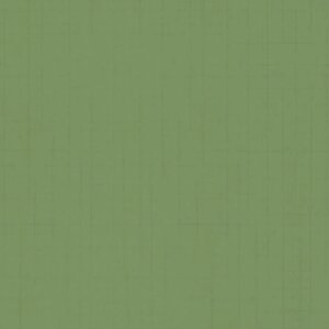 Вінілові шпалери на флізеліновій основі Dieter Langer TANGO Marburg Зелений (58863)