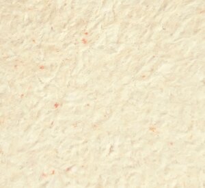 Рідкі шпалери Нектаринового кольору Тюльпан 1121