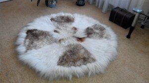Килимок (килим) з овчини Круглий