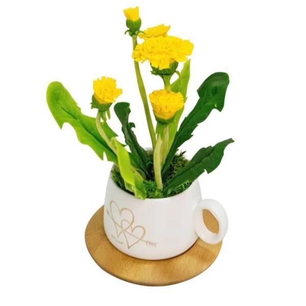 Квіткова композиція ''Щастіть у чашці'' від компанії Інтернет магазин "DOST ZAKUPKA" - фото 1