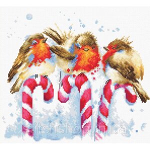 B1154 Різдвяні птахи. Luca-S. Набір для вишивання нитками