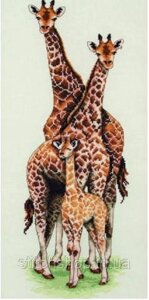 Pce740 "Сім'я жирафів (Giraffe Family) ANCHOR. Набір для вишивання нитками
