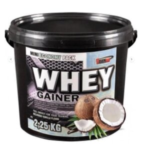 Гейнер Vision Nutrition Whey GAINER 2500 грам Смак : Кокос