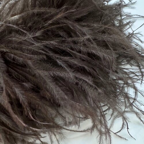 Боа з пера страуса п'ятишарове, довжина 1,8 м, колір Cold Brown