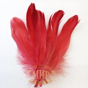 Перо гусака, колір Red, довжина 13-15 см, 1 шт.