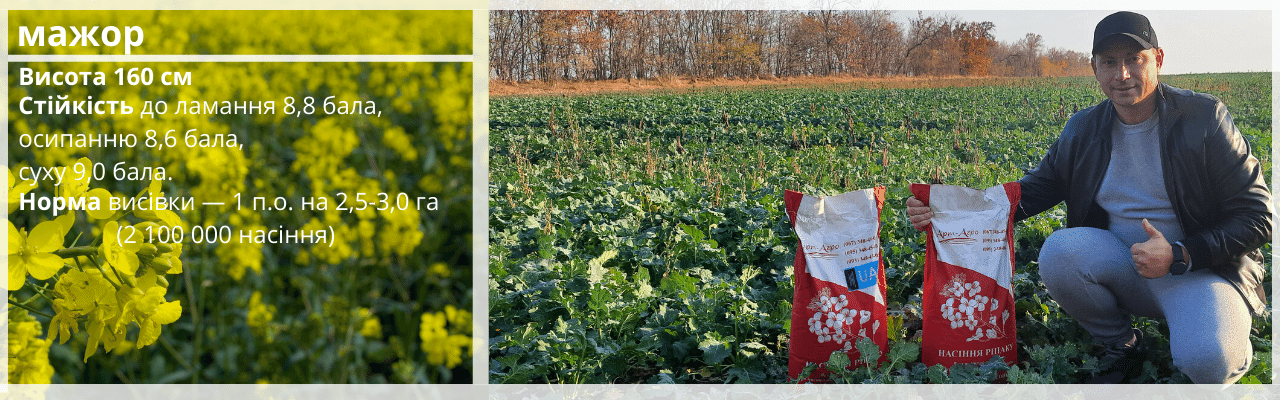 Гибриды рапса. Рапс яровой и озимый. Классический и под Глифосат. - фото pic_7591434f7391c9a900fb679f445a5e4b_1920x9000_1.png