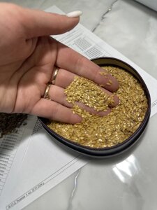 Льон Золотистий. Сорт "ГОЛДБЕРГ" 85 днів, 20-25ц/га, 50%, 2-га репродукція в Дніпропетровській області від компанії ТД «АВС СТАНДАРТ»