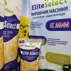 Насіння соняшника ЕС АЛЬФА Еліта Селект. Врожайний гібрид ЕС АЛЬФА під Гранстар 50 г. Екстра