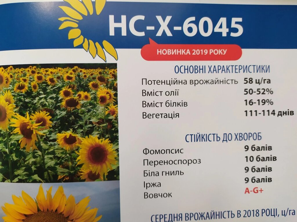 Соняшник Стійкий до Сьоми рас вовчка A-G + НС-Х 6045. Гібрид під ЄвроЛайтнінг. Врожайність 42 ц / га. екстра від компанії ТД «АВС СТАНДАРТ » - фото 1