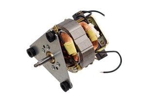 Двигун (мотор) для соковижималки Rotex RJW25-W