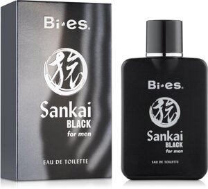 Туалетна вода для чоловіків Bi-Es Sankai Black 100ml