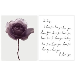 BILD Постер, романтична троянда, 40х50 см
