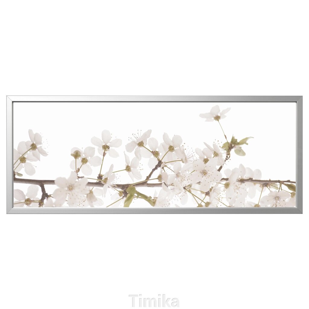 BJÖRKSTA Картина в рамці, білі квіти/срібло, 140x56 см від компанії Timika - фото 1